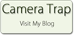 camera trap blog
